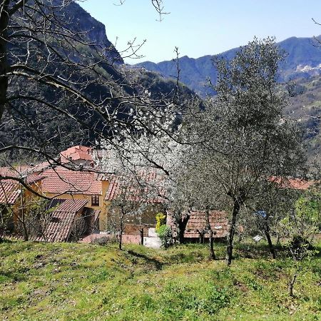 Il Metato Di Gallena Bed & Breakfast Stazzema ภายนอก รูปภาพ
