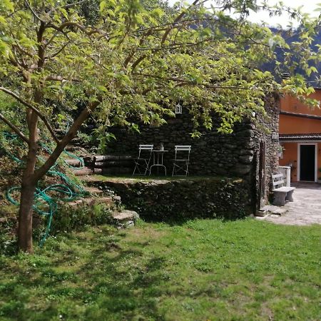 Il Metato Di Gallena Bed & Breakfast Stazzema ภายนอก รูปภาพ