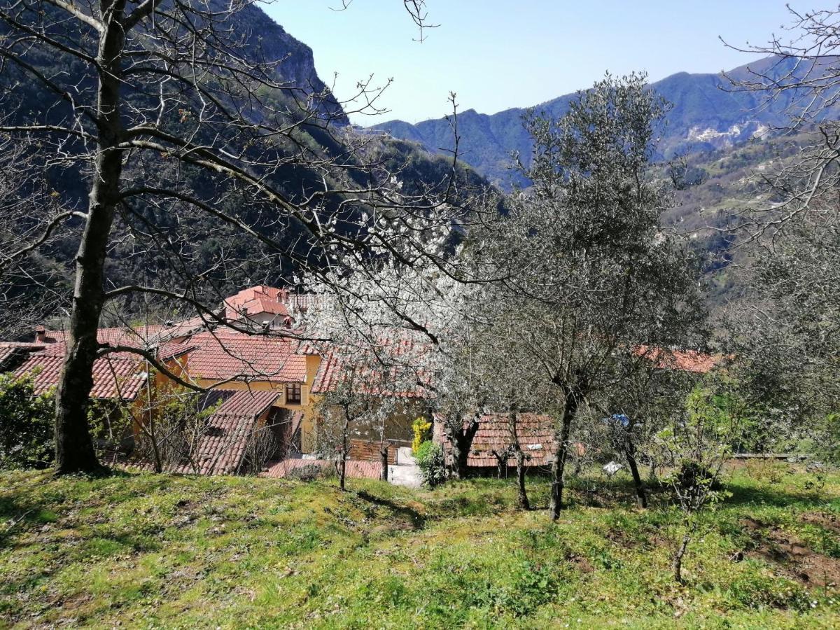 Il Metato Di Gallena Bed & Breakfast Stazzema ภายนอก รูปภาพ