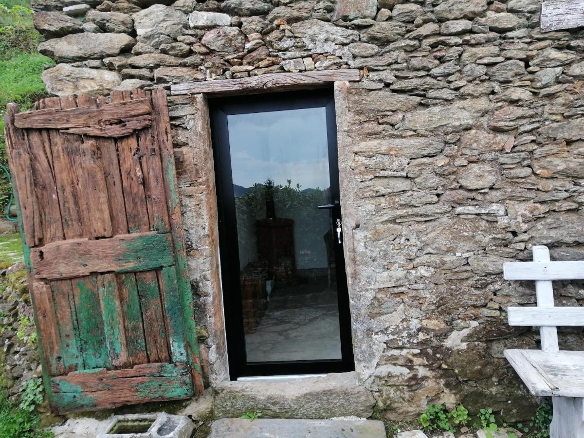 Il Metato Di Gallena Bed & Breakfast Stazzema ภายนอก รูปภาพ