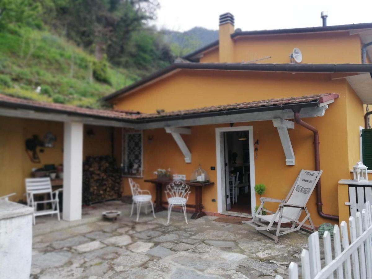 Il Metato Di Gallena Bed & Breakfast Stazzema ภายนอก รูปภาพ
