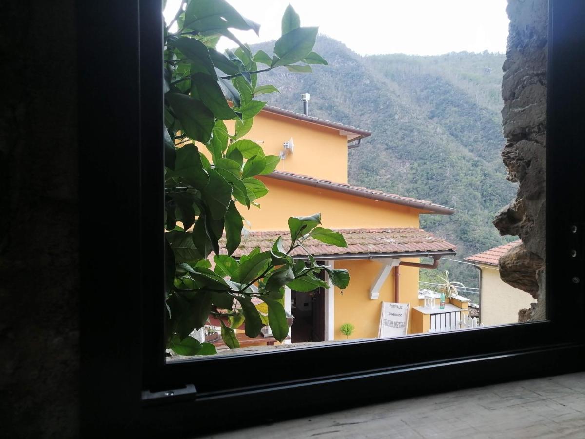 Il Metato Di Gallena Bed & Breakfast Stazzema ภายนอก รูปภาพ