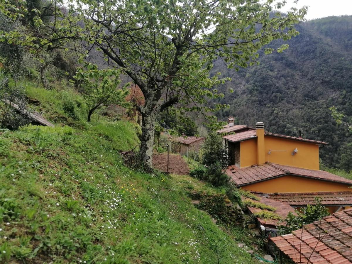 Il Metato Di Gallena Bed & Breakfast Stazzema ภายนอก รูปภาพ
