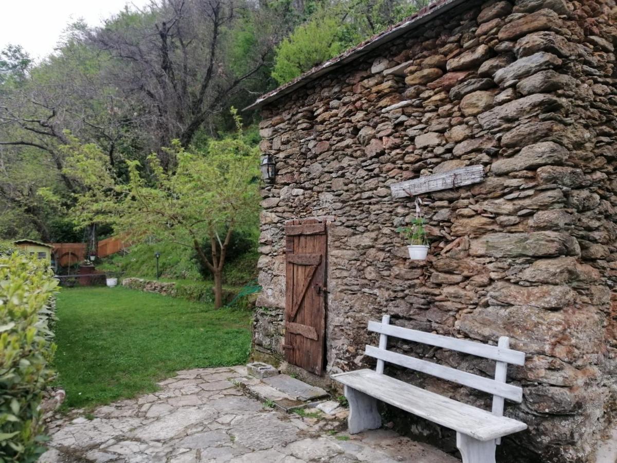 Il Metato Di Gallena Bed & Breakfast Stazzema ภายนอก รูปภาพ