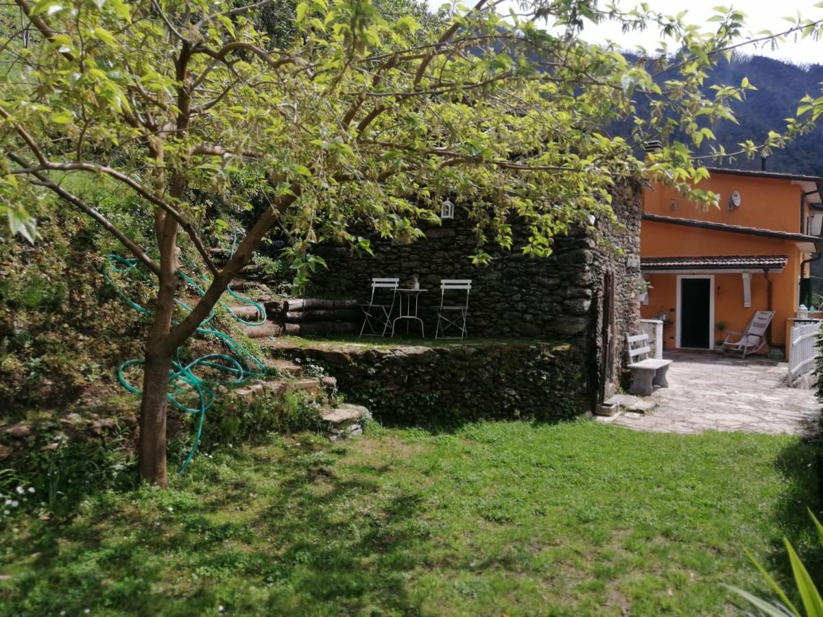 Il Metato Di Gallena Bed & Breakfast Stazzema ภายนอก รูปภาพ