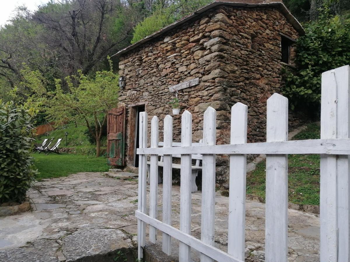 Il Metato Di Gallena Bed & Breakfast Stazzema ภายนอก รูปภาพ