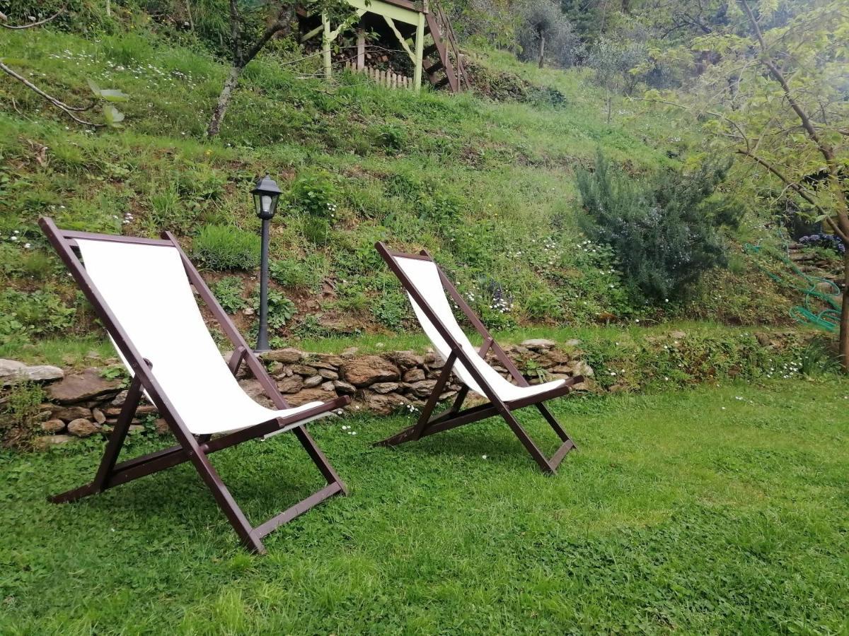 Il Metato Di Gallena Bed & Breakfast Stazzema ภายนอก รูปภาพ