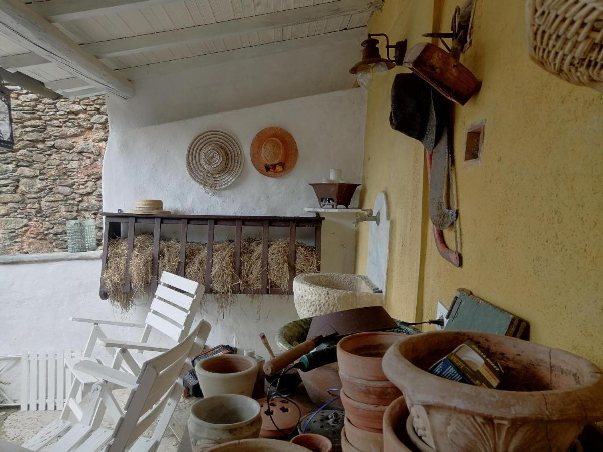 Il Metato Di Gallena Bed & Breakfast Stazzema ภายนอก รูปภาพ